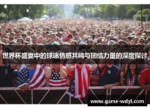 世界杯盛宴中的球迷情感共鸣与团结力量的深度探讨