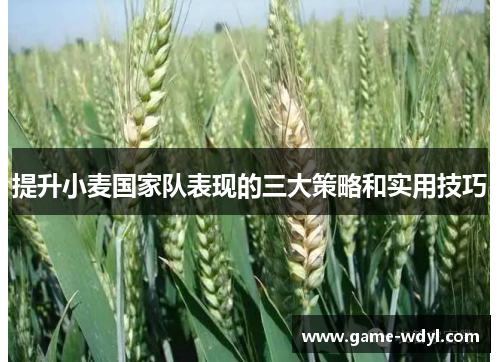 提升小麦国家队表现的三大策略和实用技巧