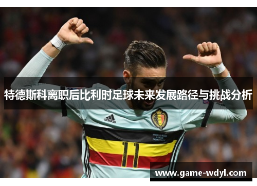 特德斯科离职后比利时足球未来发展路径与挑战分析