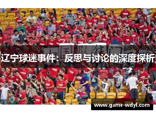 辽宁球迷事件：反思与讨论的深度探析