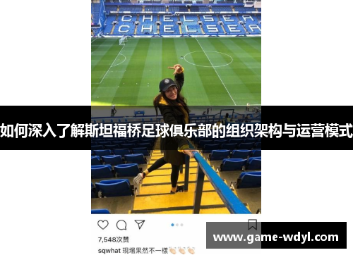 如何深入了解斯坦福桥足球俱乐部的组织架构与运营模式