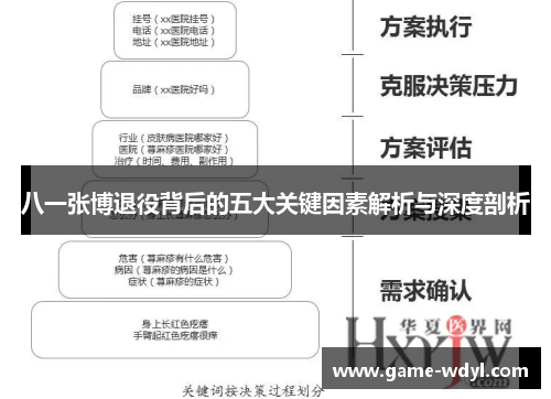 八一张博退役背后的五大关键因素解析与深度剖析