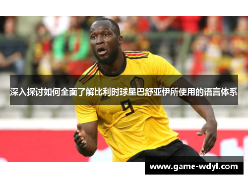 深入探讨如何全面了解比利时球星巴舒亚伊所使用的语言体系